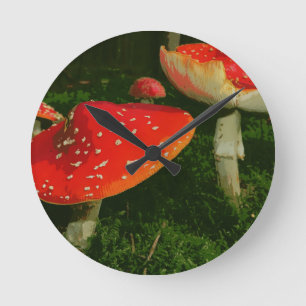 Rotes Fliegen-Blätterpilz-Wulstling Muscaria Runde Wanduhr