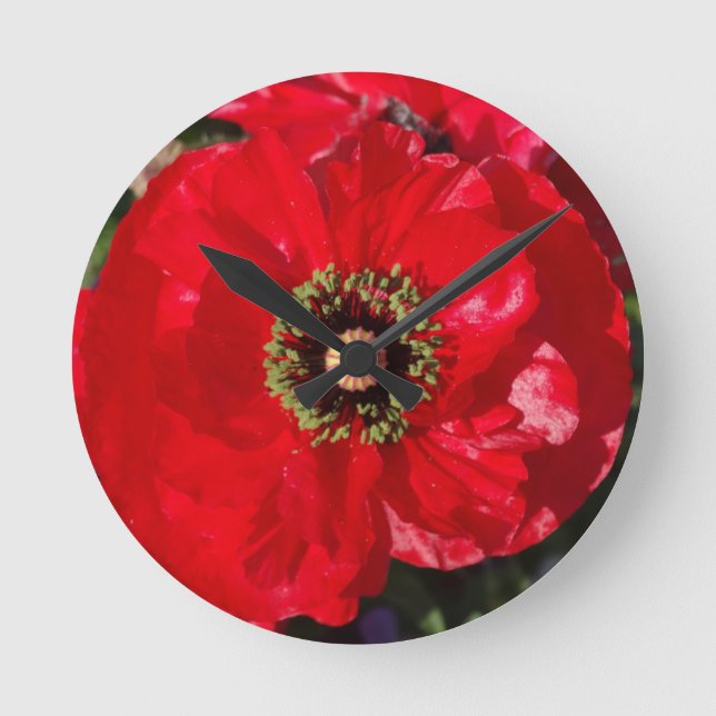 Rotes Foto einer wunderschönen Mohn-Blume  Runde Wanduhr (Vorderseite)