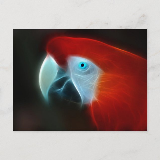 Rotes Fraktal Papagei Postkarte (Vorderseite)