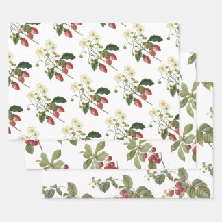 Rotes Fruchtmuster Geschenkpapier Set