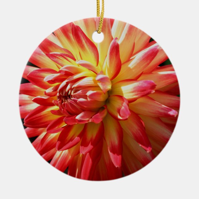 Rotes Gelbes Dahlia Blume Keramik Ornament (Vorne)
