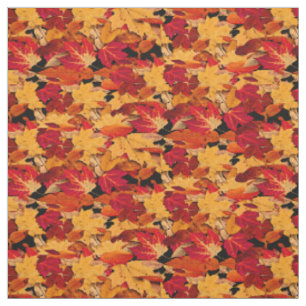 Rotes gelbes orange Herbst-Blätter Browns Stoff
