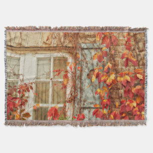 Rotes Gelbes Rustikales Land im Herbst Decke