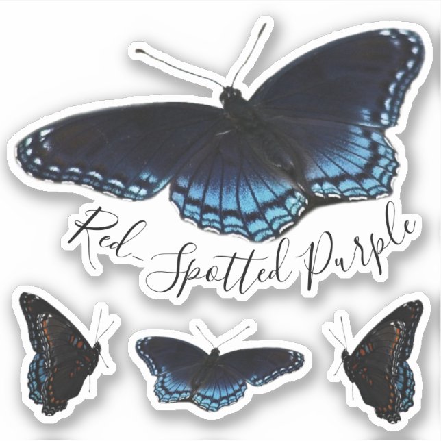 Rotes Gepunktetes Lila Butterfly-Set Aufkleber (Vorderseite)