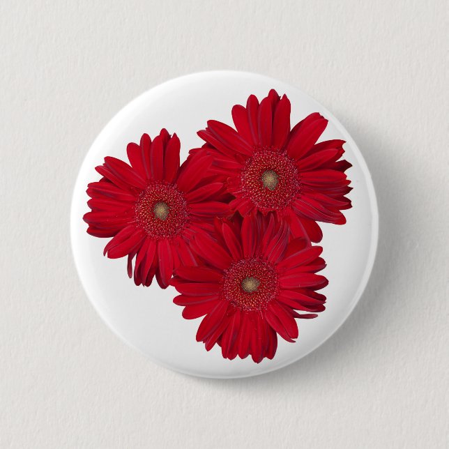 Rotes Gerber Gänseblümchen-nahe hohe Fotografien Button (Vorderseite)