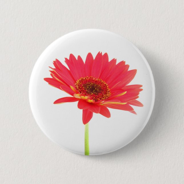 Rotes Gerbera-Gänseblümchen-Blumenknopf Button (Vorderseite)