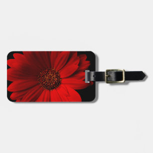 Rotes Gerbera-Gänseblümchen Gepäckanhänger