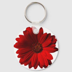 Rotes Gerbera-Gänseblümchen Schlüsselanhänger