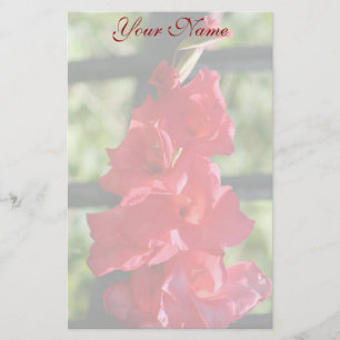 Rotes Gladiola stationär Briefpapier