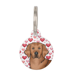 Rotes Golden Retriever-Hund-Porträt mit süßen Herz Haustiermarke