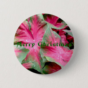 Rotes grünes Caladium-frohe Weihnacht-Abzeichen Button