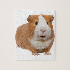 Rotes Guinea