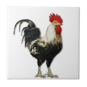 Rotes Hahn-Huhn fertigen besonders an Fliese