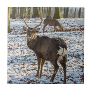 Rotes Hirsch im Schnee Fliese