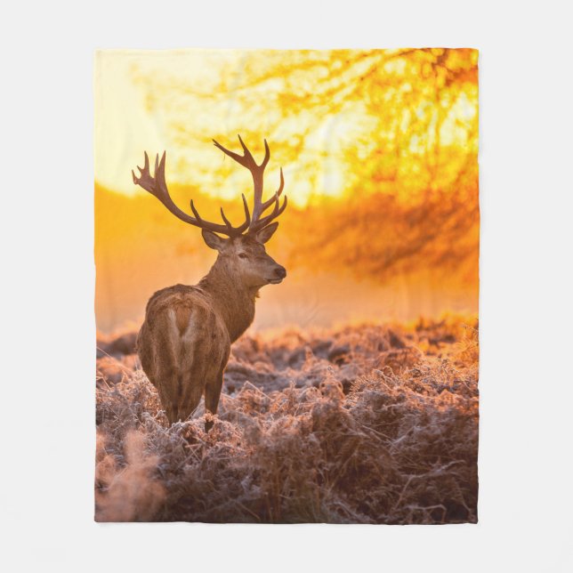 Rotes Hirsch in der Morgensonne. Hirsche, Tiere, w Fleecedecke (Vorderseite)