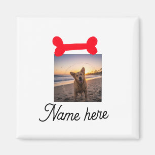 Rotes Hundeknochen-Foto Haustier Hund Katze Name e Magnet