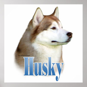 Rotes Husky-Plakat Poster