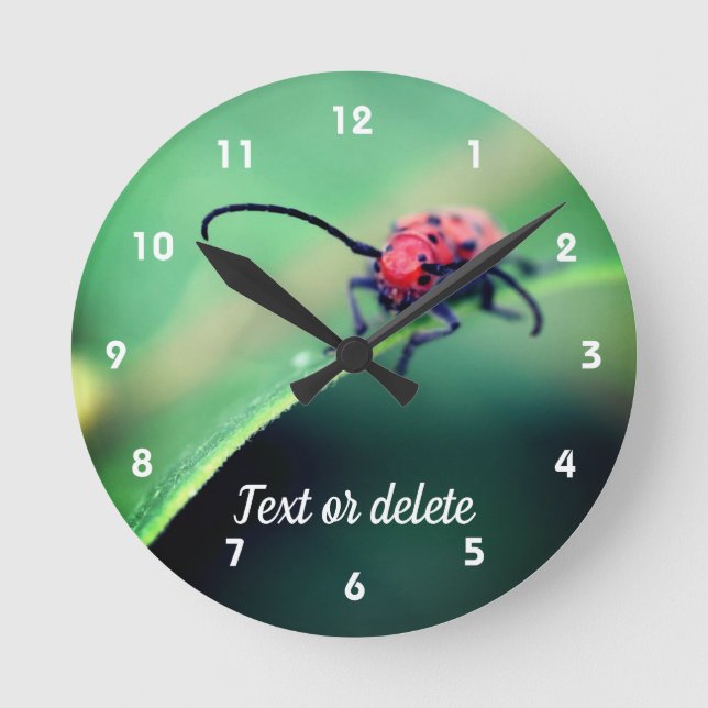 Rotes Käfer-Insekt Nah Personalisiert Runde Wanduhr (Vorderseite)