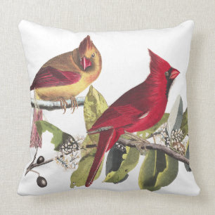 Rotes Kardinals-Vogel-wild lebende Tiere Audubon Kissen