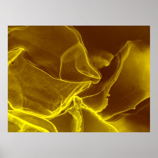 Rotes Leder, Textur Poster (Vorne)