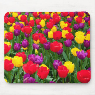 Rotes, lila, gelbes Tulpe mousepad