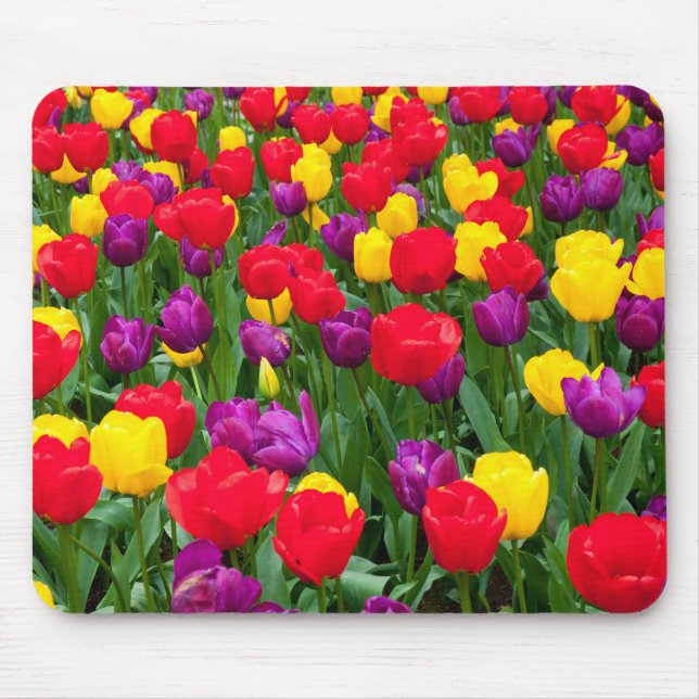 Rotes, lila, gelbes Tulpe mousepad (Vorne)