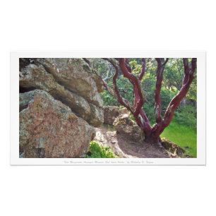 "Rotes Manzanita unter enormen Rot-hued Felsen, " Fotodruck