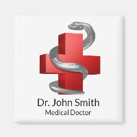 Rotes medizinisches Kreuz Silver Symbol Schlange S