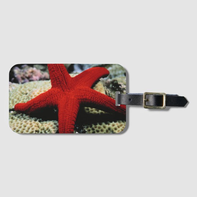 Rotes Meer der Stern-Fisch-| Gepäckanhänger (Vorderseite (Horizontal))
