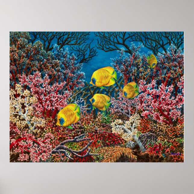 Rotes Meer Poster (Vorne)