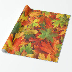 Rotes orange Gold u. grünes Fallpinwheel-Blätter Geschenkpapier