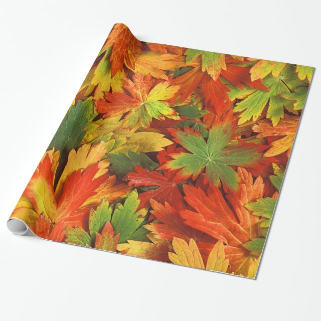 Rotes orange Gold u. grünes Fallpinwheel-Blätter Geschenkpapier (Ungerollt)