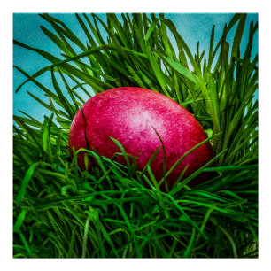 Rotes Osterei im Gras Poster