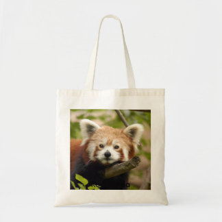 Rotes Panda-007, roter Panda Tragetasche
