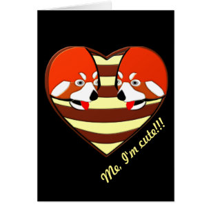Rotes Panda-Liebe