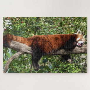 Rotes Panda-Puzzle