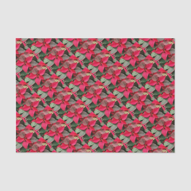 Rotes Poinsettienwackelpapier Seidenpapier (Vorderseite)