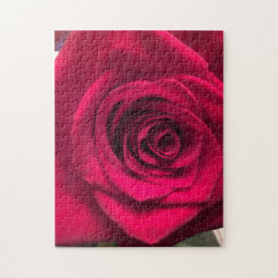 Rotes Rosen-Puzzle