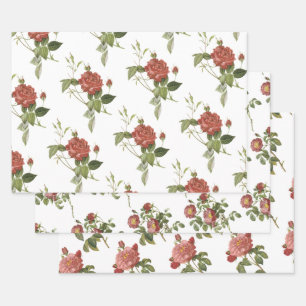 Rotes Rosenmuster Geschenkpapier Set