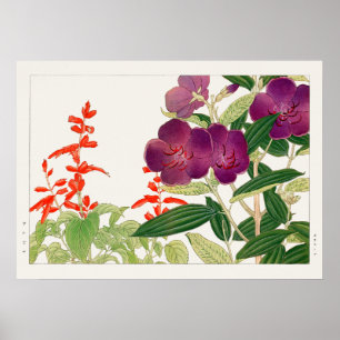 Rotes Salvia und Lila Melastom von Tanigami Konan Poster