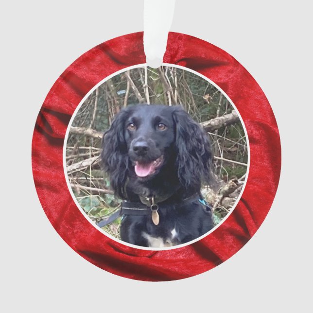 Rotes Samt Haustier Foto Weihnachten Ornament (Vorderseite)