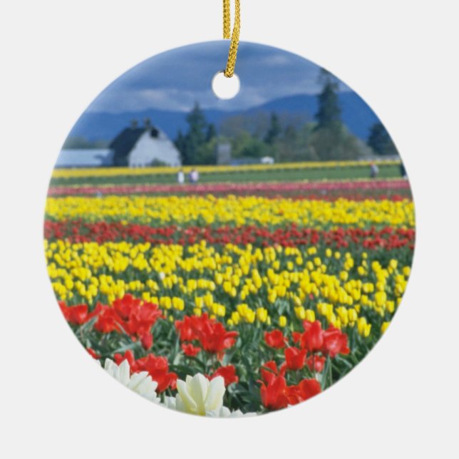 Rotes Skagit Tal, der Mount Rainier, Washington, Keramikornament (Vorne)