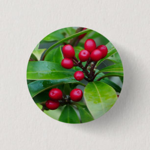 Rotes Skimmia Berries Abzeichen Button