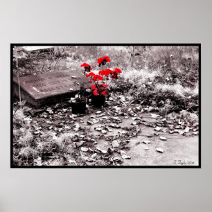 Rotes Spritzen Poster