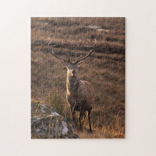 Rotes Stag Puzzle/Jigsaw