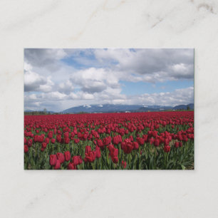 Rotes Tulpe-Feld Visitenkarte