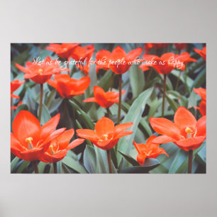 Rotes Tulpenfeld Poster
