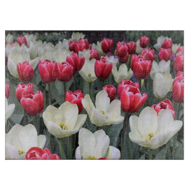 Rotes u. weißes Frühlings-Tulpe-Schneidebrett Schneidebrett (Vorderseite)