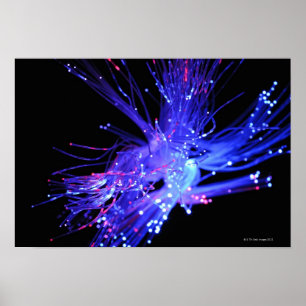 Rotes und blaues Licht aus der Faseroptik Poster