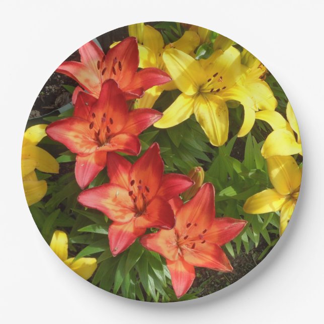 Rotes und gelbes Lilly-Foto-Papierplatte Pappteller (Vorderseite)